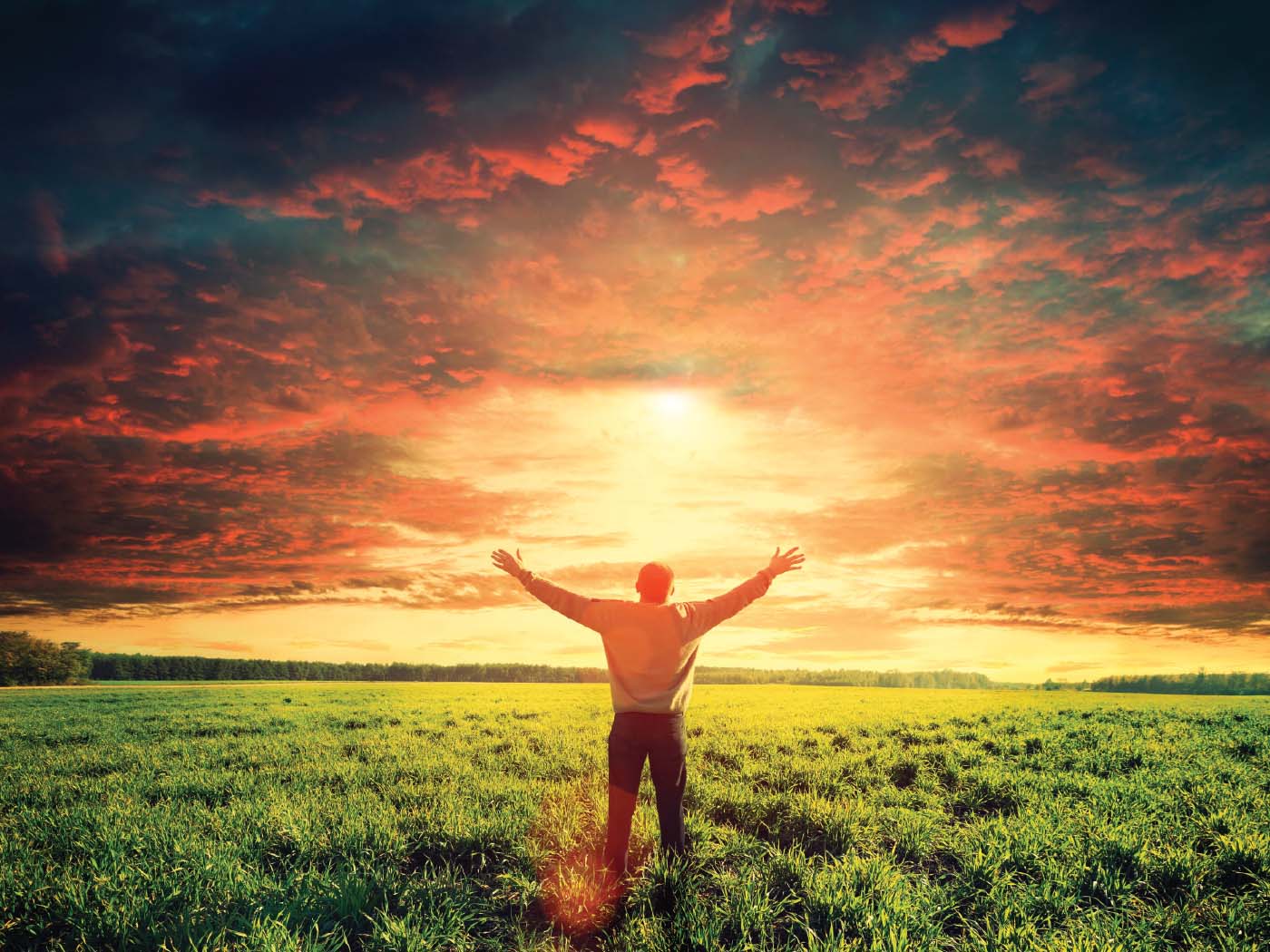 This Month s Issue The Institute For Creation Research this-month-s-issue-the-institute-for-creation-research